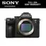 Sony Alpha a7 III Mirrorless Digital Camera (Body Only)